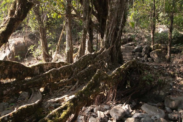 Фото 5 Фото 5