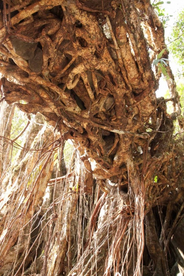 если взглянуть на него снизу если взглянуть на него снизу
