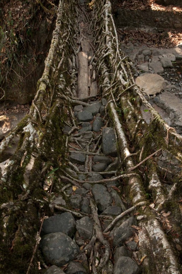 вросшие камни для прочности вросшие камни для прочности