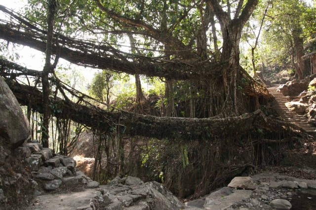 тот самый двойной мост тот самый двойной мост