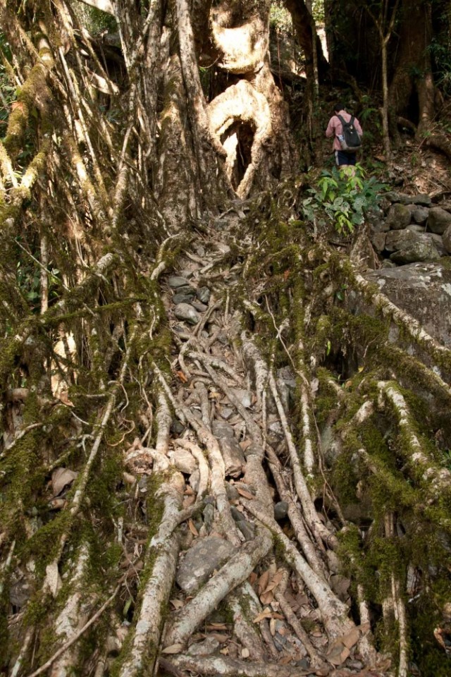 Фото 1 Фото 1