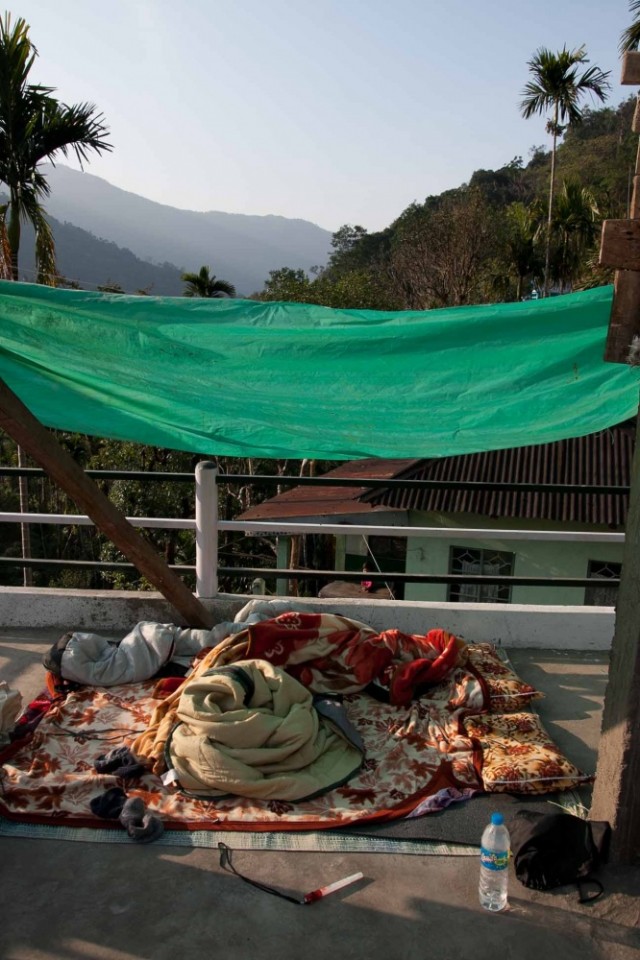 братья по крыше братья по крыше