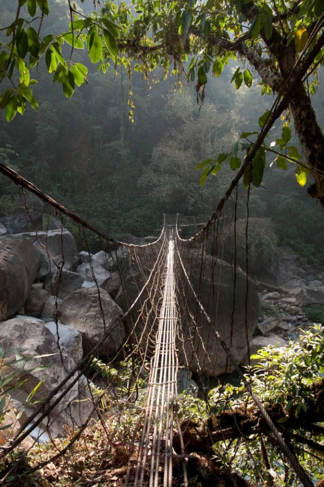вид из чайной если залезть с чашечкой на валун вид из чайной если залезть с чашечкой на валун