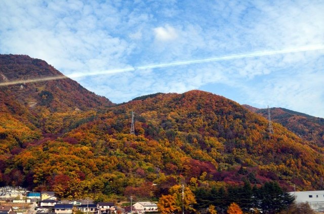 из окна из окна