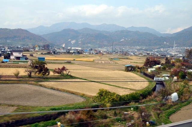 из окна из окна