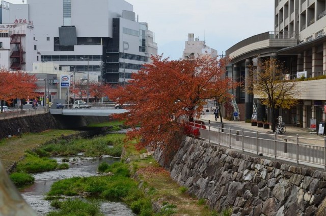 Мацумото Мацумото