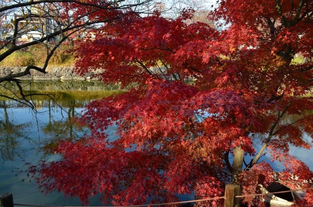 Фото 5 Фото 5