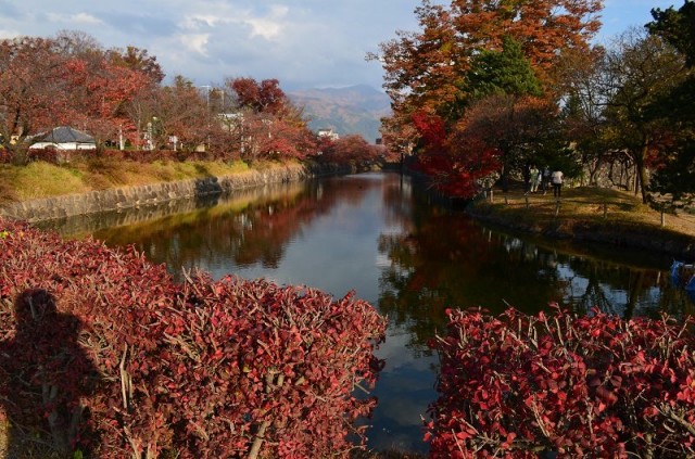 Фото 6 Фото 6