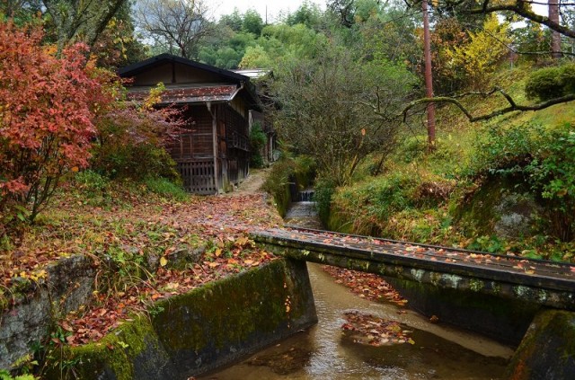 Цумаго Цумаго