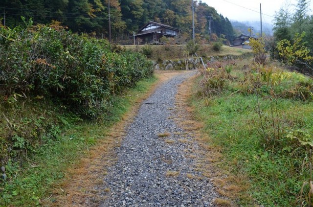 Цумаго Цумаго