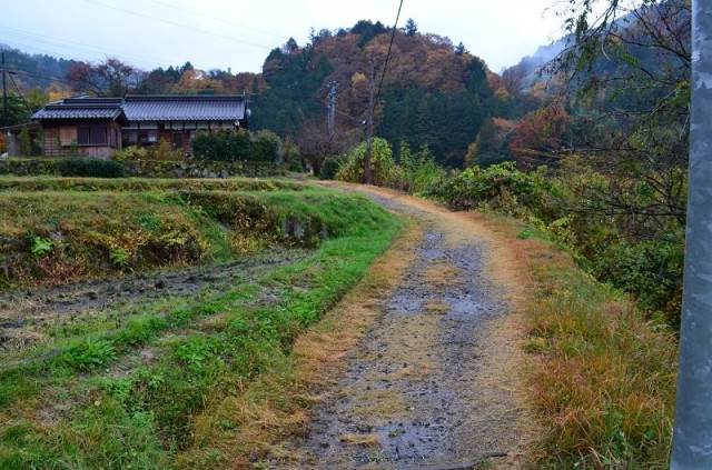 Цумаго Цумаго