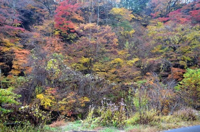 Цумаго - Магоме трек Цумаго - Магоме трек