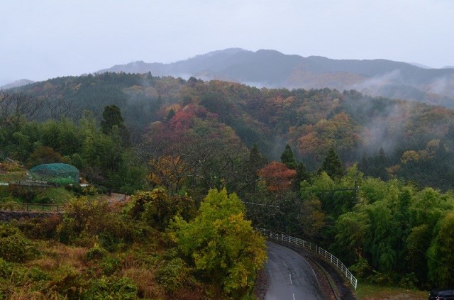 Магоме Магоме