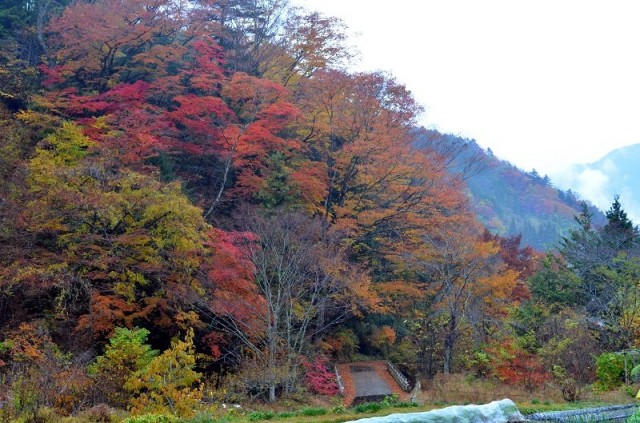 Цумаго - Магоме трек Цумаго - Магоме трек