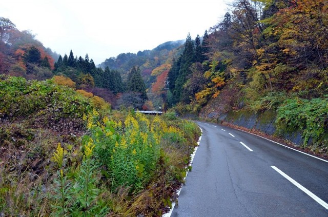 Цумаго - Магоме трек Цумаго - Магоме трек