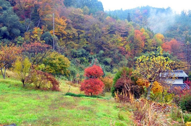 Цумаго - Магоме трек Цумаго - Магоме трек