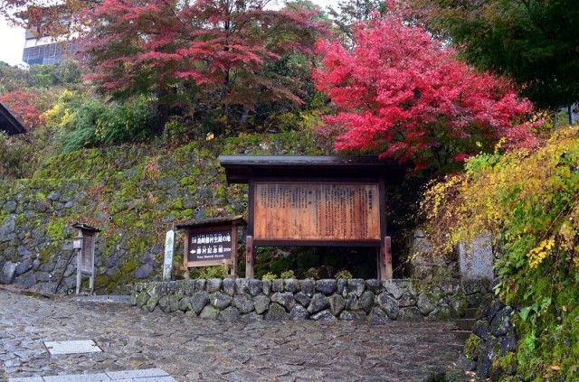 Магоме Магоме