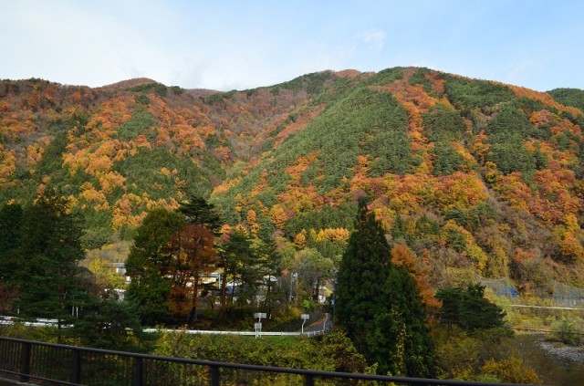 Фото 3 Фото 3