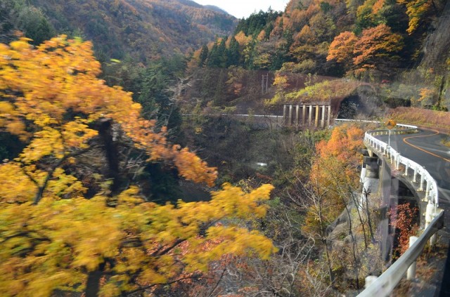 Фото 6 Фото 6