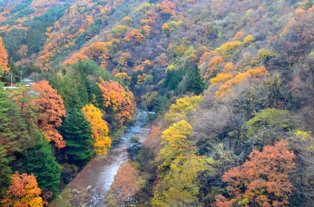 Фото 7 Фото 7