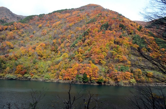 Фото 8 Фото 8