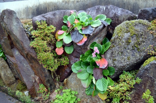 Фото 5 Фото 5