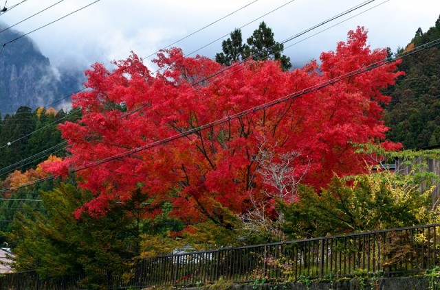 Фото 6 Фото 6