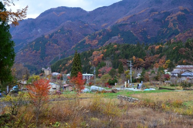 Фото 7 Фото 7