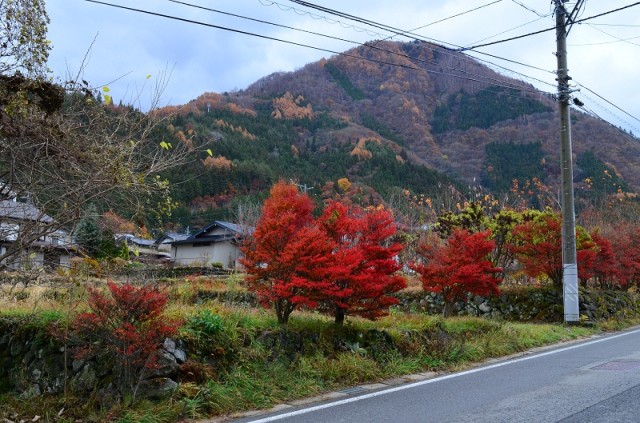 Фото 9 Фото 9