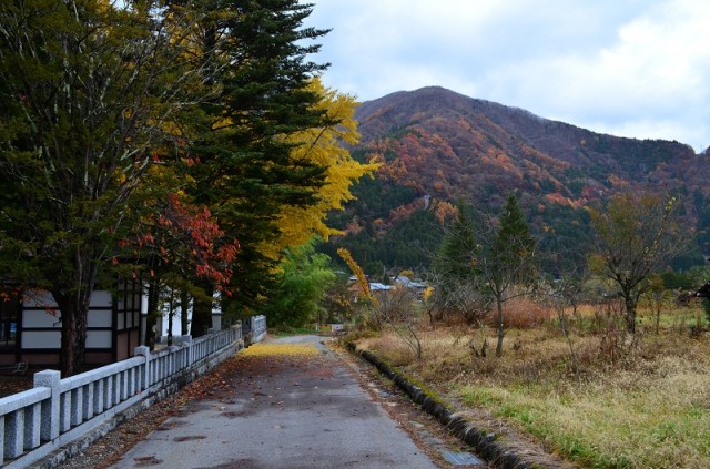 Фото 1 Фото 1