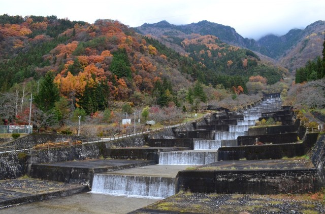 Фото 3 Фото 3