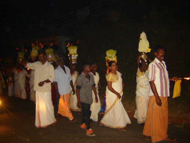 Редкий момент, повезло, что подсветили фарами Редкий момент, повезло, что подсветили фарами