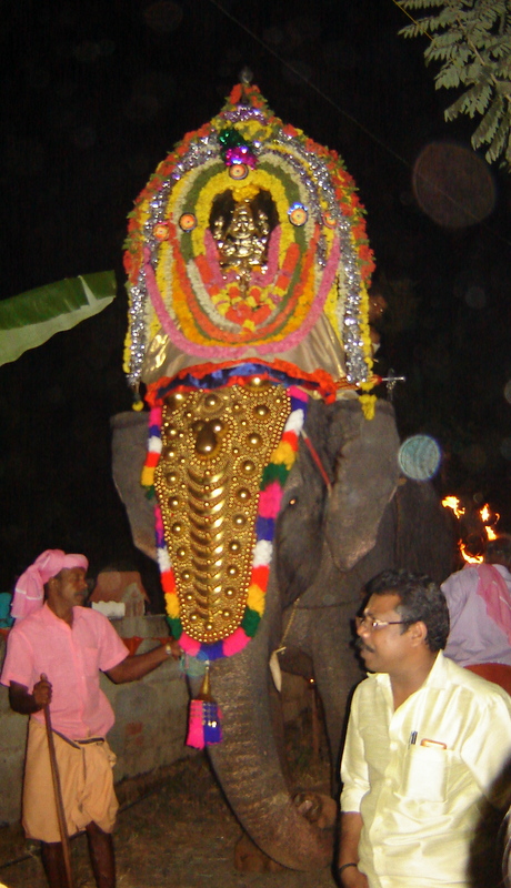 Тут боялась, что слон испугается вспышки))) Тут боялась, что слон испугается вспышки)))