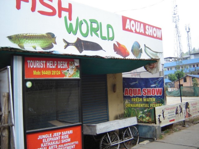 Это пройти надо Это пройти надо