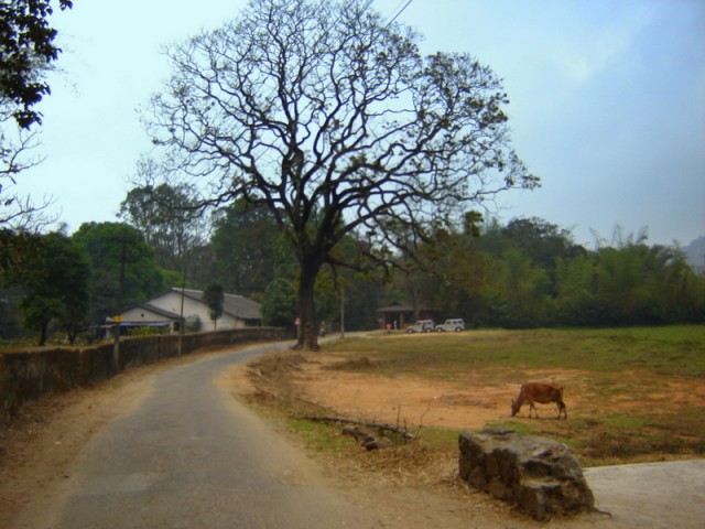 Маршрут начинается вдоль забора заповедника Маршрут начинается вдоль забора заповедника