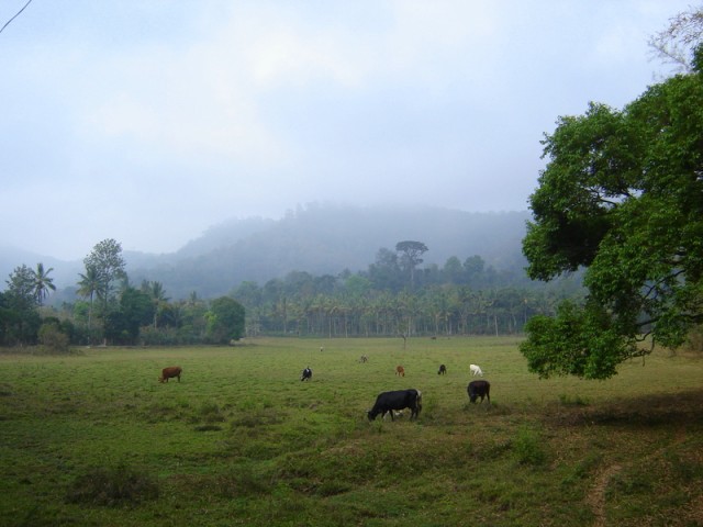 И нам открывается индийский пейзаж И нам открывается индийский пейзаж