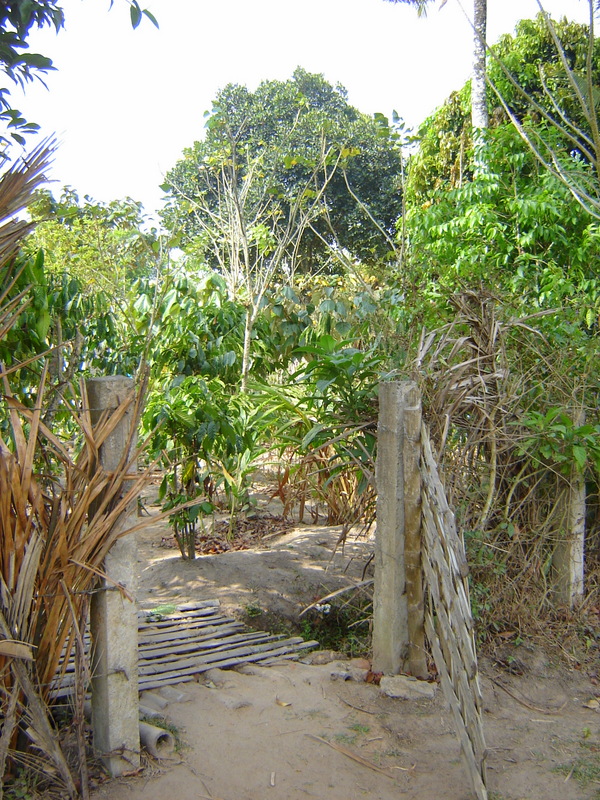 Чудесно оформленный вход на территорию частного дома Чудесно оформленный вход на территорию частного дома