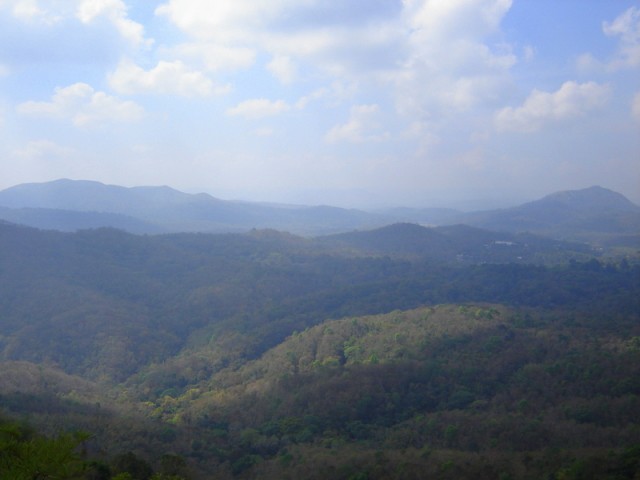 Тигры далеко внизу Тигры далеко внизу