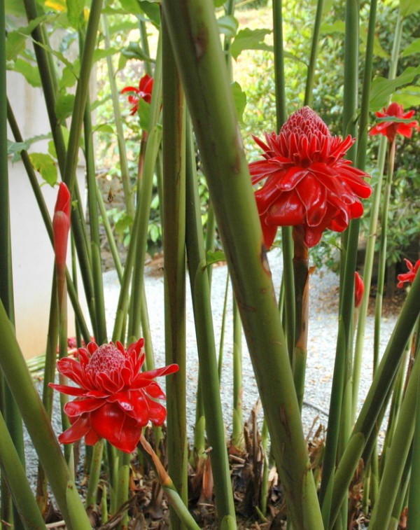 Фото 2 Фото 2