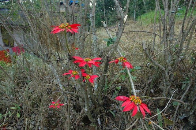 Фото 4 Фото 4