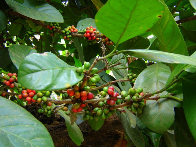 Фото 6 Фото 6