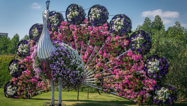 Фото 1 Фото 1