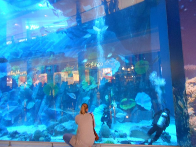 Дубай молл аквариум Дубай молл аквариум