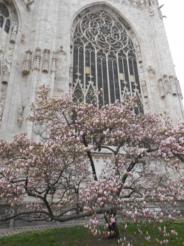 со всех сторон со всех сторон