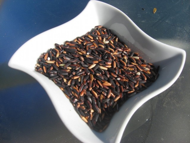 Black rice