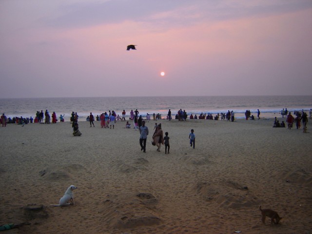 Массовый приезд на выхи на центральный пляж Массовый приезд на выхи на центральный пляж