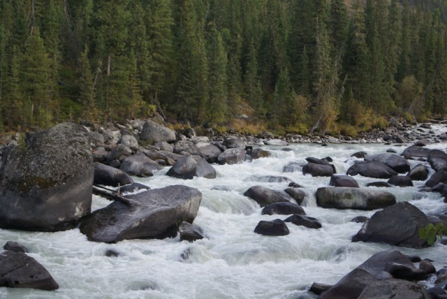      .    -     ,        .