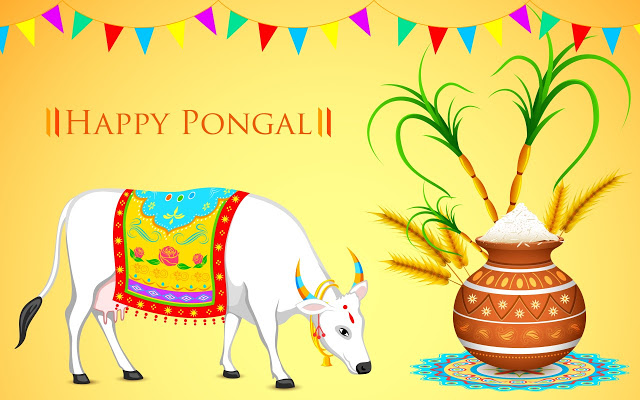 pongal