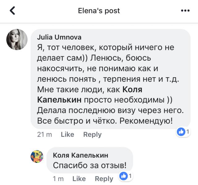 Отзывы об inzd.ru про оформление годовой визы