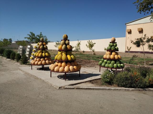 Фото 5 Фото 5